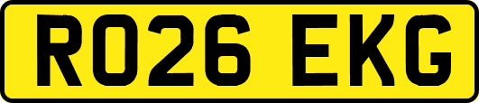 RO26EKG