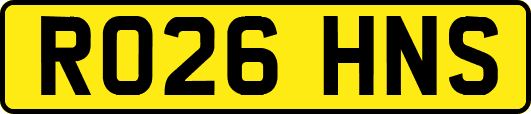 RO26HNS