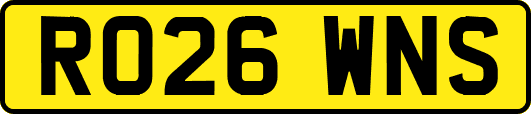RO26WNS