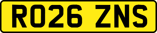 RO26ZNS
