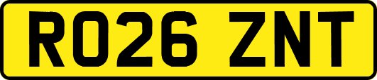 RO26ZNT