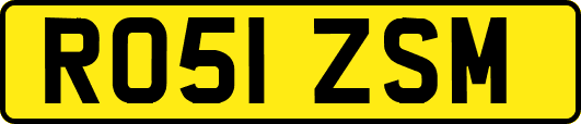 RO51ZSM