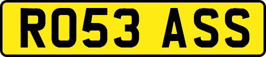 RO53ASS