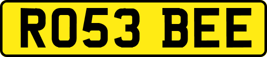 RO53BEE