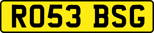 RO53BSG