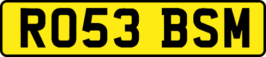 RO53BSM