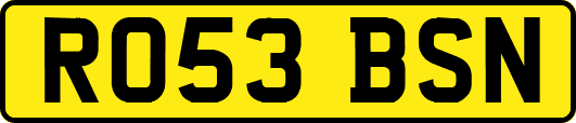 RO53BSN