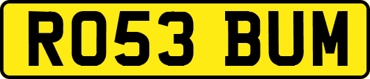 RO53BUM