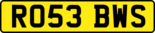 RO53BWS