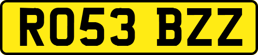 RO53BZZ