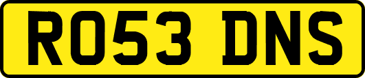 RO53DNS