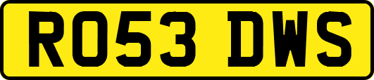 RO53DWS
