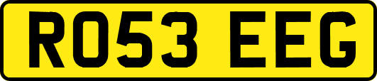 RO53EEG