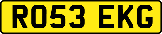 RO53EKG