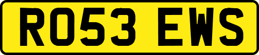 RO53EWS