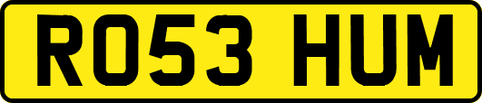 RO53HUM