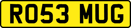 RO53MUG