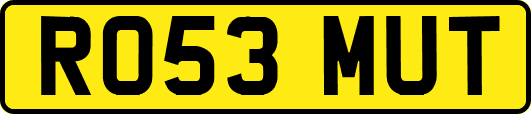 RO53MUT