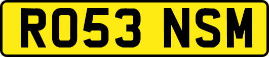 RO53NSM