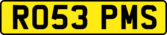 RO53PMS