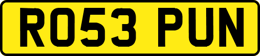 RO53PUN