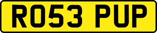 RO53PUP