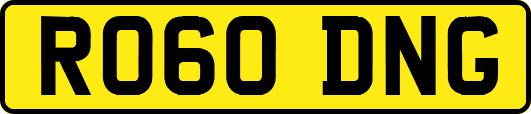 RO60DNG