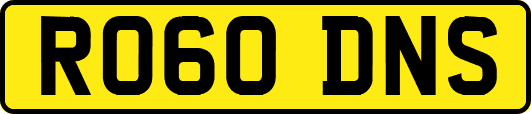 RO60DNS