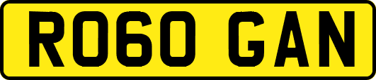 RO60GAN