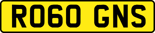 RO60GNS