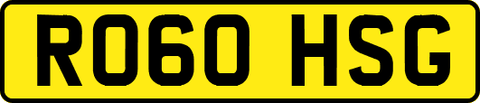 RO60HSG