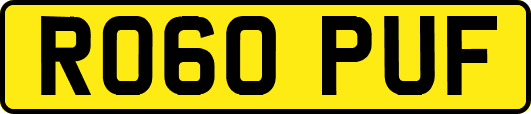 RO60PUF