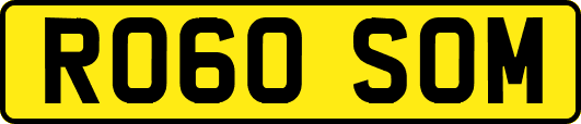RO60SOM