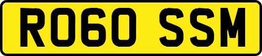 RO60SSM