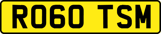 RO60TSM