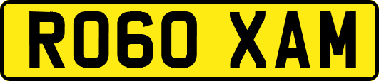 RO60XAM