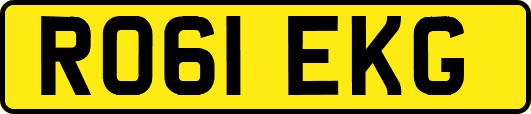 RO61EKG