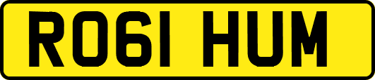 RO61HUM