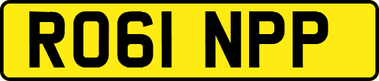 RO61NPP