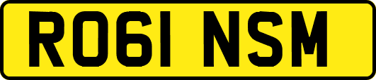 RO61NSM