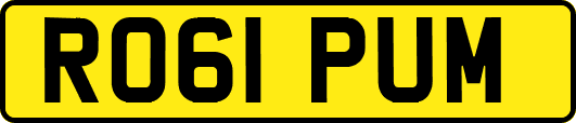 RO61PUM
