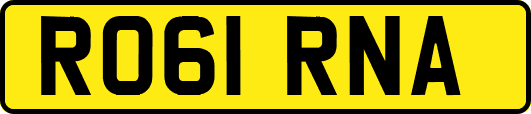 RO61RNA