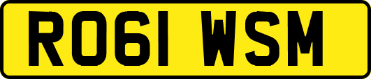 RO61WSM