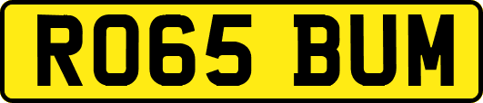 RO65BUM