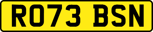 RO73BSN