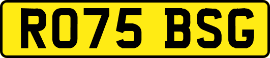 RO75BSG