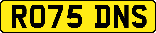 RO75DNS