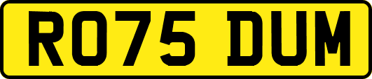 RO75DUM
