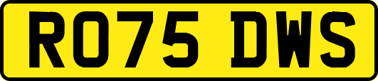 RO75DWS