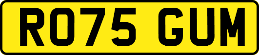 RO75GUM